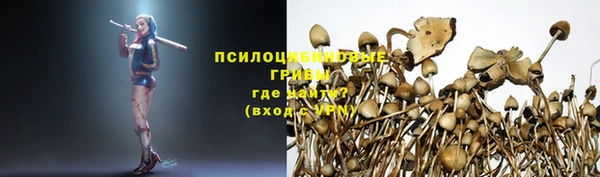 амф Армянск