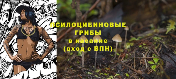 спайс Аркадак