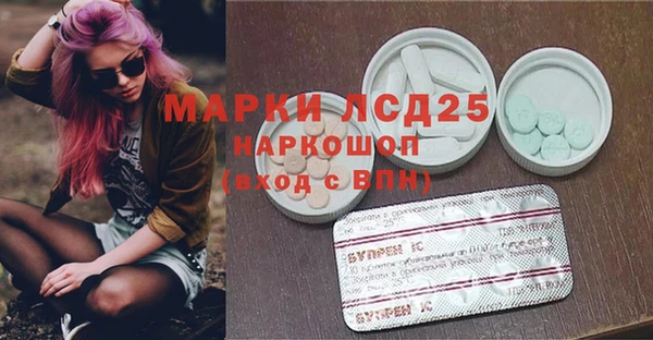 спайс Аркадак