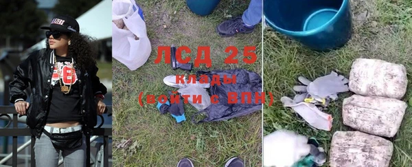 спайс Аркадак