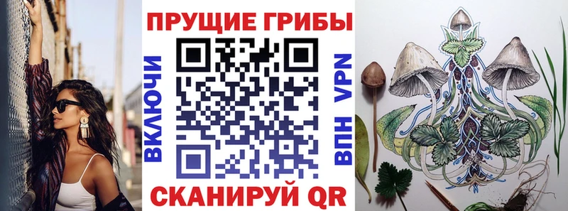 это состав Ступино Псилоцибиновые грибы прущие грибы